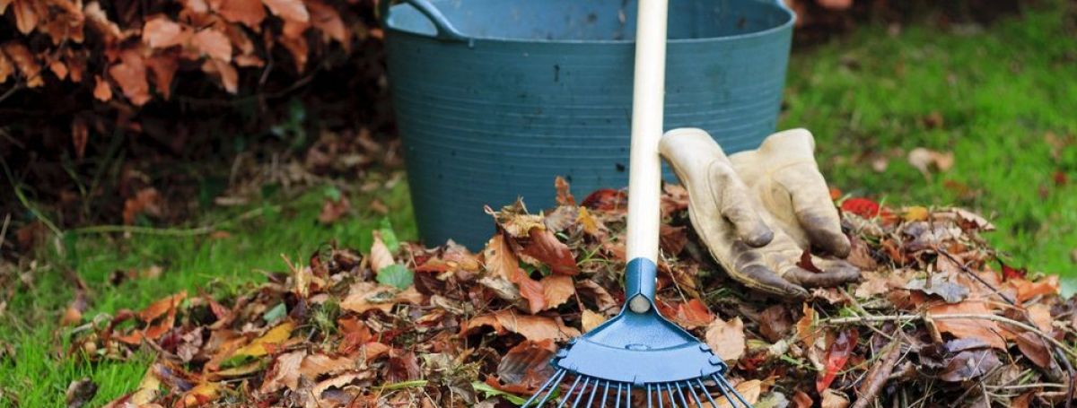  Осень в саду: что посадить и как подготовить участок к зиме